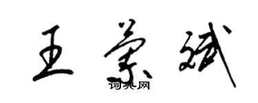 梁錦英王蘭斌草書個性簽名怎么寫