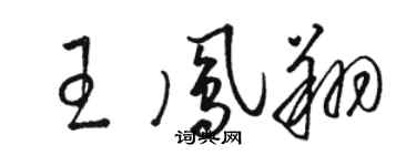 駱恆光王鳳翔草書個性簽名怎么寫