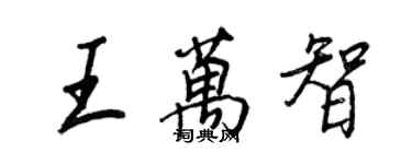 王正良王萬智行書個性簽名怎么寫