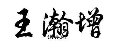 胡問遂王瀚增行書個性簽名怎么寫