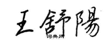 王正良王舒陽行書個性簽名怎么寫