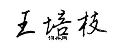 王正良王培枝行書個性簽名怎么寫