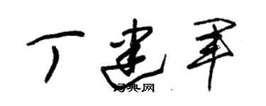 朱錫榮丁建軍草書個性簽名怎么寫