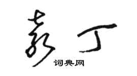 駱恆光袁丁草書個性簽名怎么寫