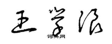 曾慶福王學浪草書個性簽名怎么寫