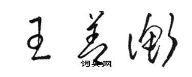 駱恆光王善衡草書個性簽名怎么寫