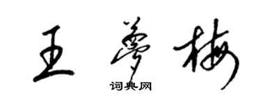 梁錦英王夢梅草書個性簽名怎么寫
