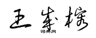 曾慶福王成榕草書個性簽名怎么寫