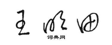 駱恆光王明田草書個性簽名怎么寫