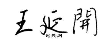王正良王延開行書個性簽名怎么寫