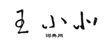 駱恆光王小北草書個性簽名怎么寫