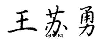 丁謙王蘇勇楷書個性簽名怎么寫