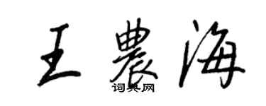 王正良王農海行書個性簽名怎么寫