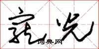 朱錫榮寵光草書怎么寫