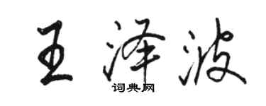 駱恆光王澤波行書個性簽名怎么寫