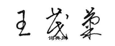 駱恆光王茂菊草書個性簽名怎么寫