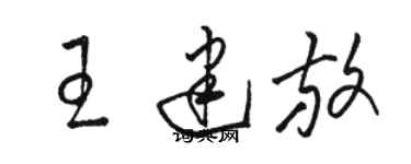 駱恆光王建放草書個性簽名怎么寫
