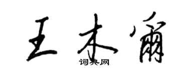 王正良王木爾行書個性簽名怎么寫