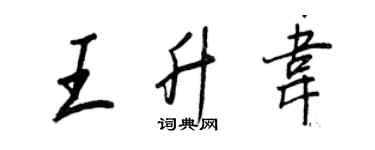 王正良王升韋行書個性簽名怎么寫
