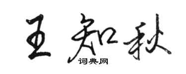 駱恆光王知秋行書個性簽名怎么寫