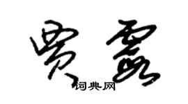 朱錫榮賈霞草書個性簽名怎么寫