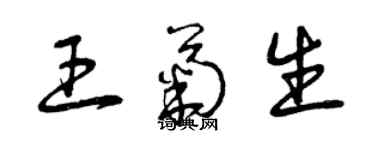 曾慶福王菊生草書個性簽名怎么寫