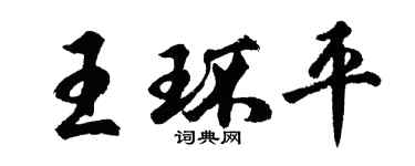 胡問遂王環平行書個性簽名怎么寫