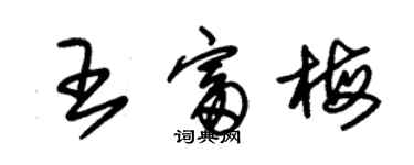 朱錫榮王富梅草書個性簽名怎么寫