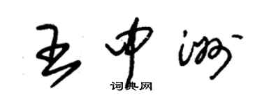 朱錫榮王中洲草書個性簽名怎么寫