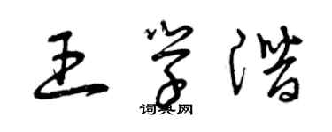 曾慶福王學潛草書個性簽名怎么寫