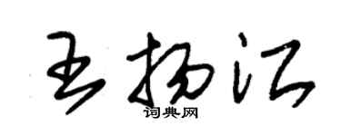朱錫榮王揚江草書個性簽名怎么寫