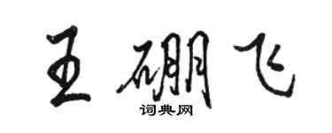 駱恆光王硼飛行書個性簽名怎么寫