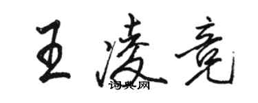 駱恆光王凌競行書個性簽名怎么寫