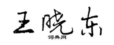 曾慶福王曉東行書個性簽名怎么寫