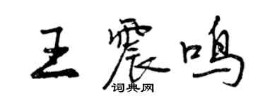 曾慶福王震鳴行書個性簽名怎么寫