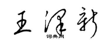 梁錦英王澤新草書個性簽名怎么寫