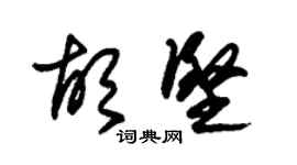 朱錫榮胡堅草書個性簽名怎么寫