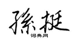 王正良孫挺行書個性簽名怎么寫