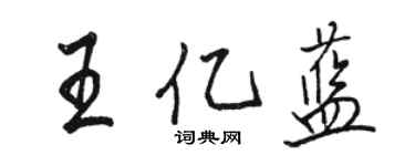 駱恆光王億藍行書個性簽名怎么寫