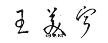 駱恆光王美寧草書個性簽名怎么寫