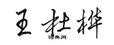 駱恆光王杜樺行書個性簽名怎么寫