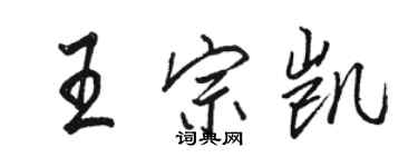 駱恆光王宗凱行書個性簽名怎么寫