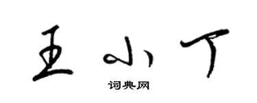 梁錦英王小丁草書個性簽名怎么寫