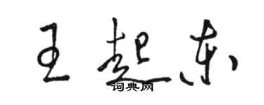 駱恆光王起東草書個性簽名怎么寫