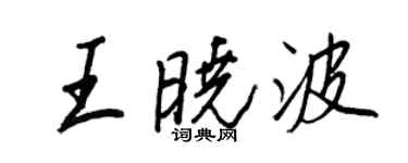 王正良王曉波行書個性簽名怎么寫