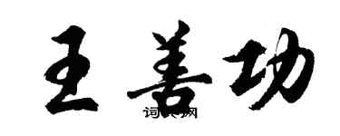 胡問遂王善功行書個性簽名怎么寫