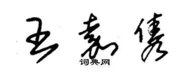 朱錫榮王嘉雋草書個性簽名怎么寫