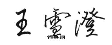 駱恆光王雪澄行書個性簽名怎么寫