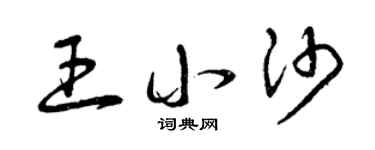 曾慶福王小沙草書個性簽名怎么寫