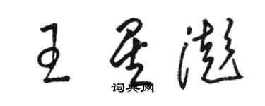 駱恆光王星澎草書個性簽名怎么寫